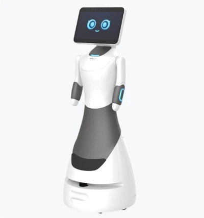 Welcome Service Robot
