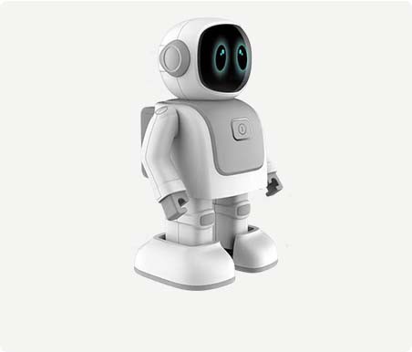 AI Companion Robot