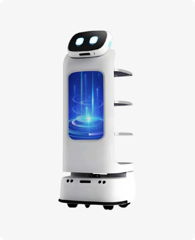 Commercial Service Robot